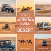 12 Activities in Dubai Safari Desert