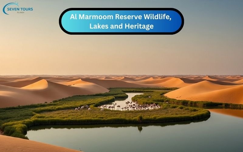 Scenic view of Al Marmoom Desert Conservation Reserve with lakes, sand dunes, and wildlife.