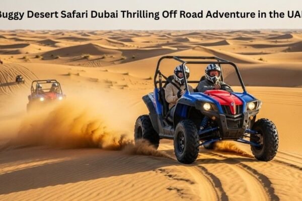 Two-seater dune buggy in Dubai desert during sunset