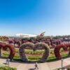 Wide angle view of Dubai Miracle Garden showing colorful flower tunnels, arches, and floral sculptures under a clear blue sky.