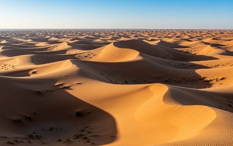 Highlight-the-beautiful-desert-terrain-that-makes-Dubai-ideal-for-dune-buggy-rides.
