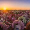 Hidden spots in Dubai Miracle Garden with vibrant flower arches at sunset view